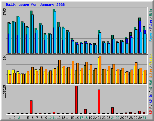 Daily usage for January 2026