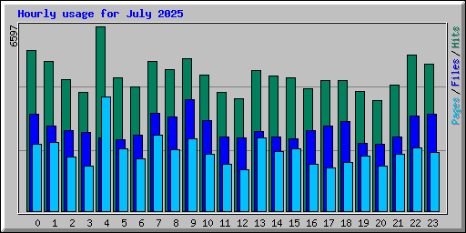 Hourly usage for July 2025