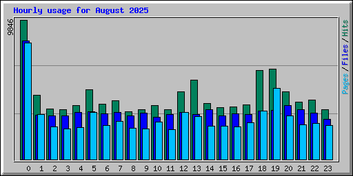 Hourly usage for August 2025