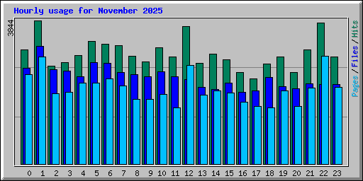 Hourly usage for November 2025