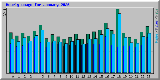 Hourly usage for January 2026