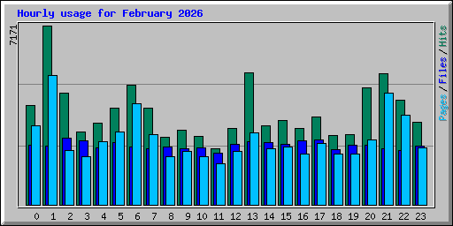 Hourly usage for February 2026