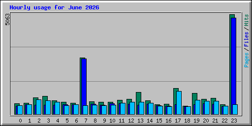 Hourly usage for June 2026